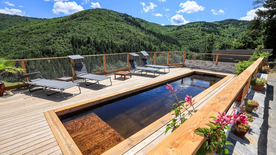 Piscines naturelles design en bois immerg - cologique - 100% franaise